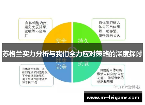 苏格兰实力分析与我们全力应对策略的深度探讨