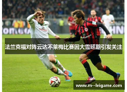 法兰克福对阵云达不莱梅比赛因大雪延期引发关注 法兰克福对阵云达不莱梅比赛因大雪延期引发关注