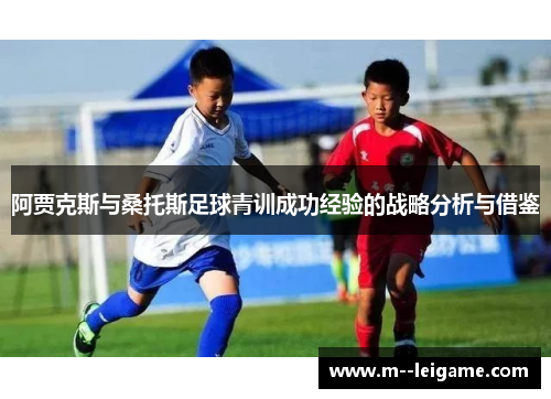 阿贾克斯与桑托斯足球青训成功经验的战略分析与借鉴