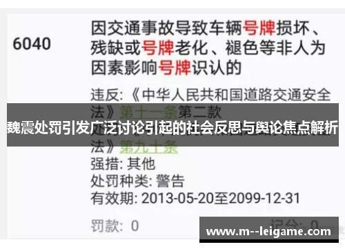 魏震处罚引发广泛讨论引起的社会反思与舆论焦点解析
